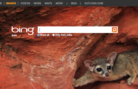 Search For Images By Usage Rights On Bing Search