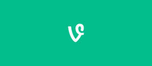 Vine for Windows Phone Finally Released