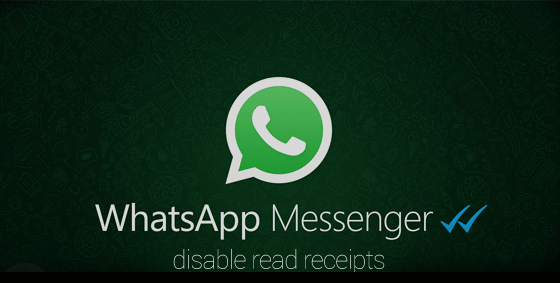 How to disable read receipts On WhatsApp