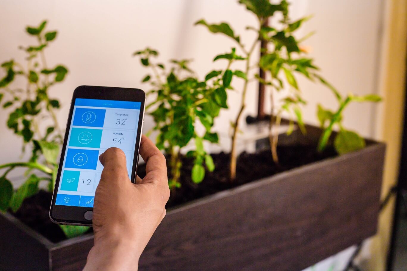 crofters unveils india’s first aquaponics garden techzei