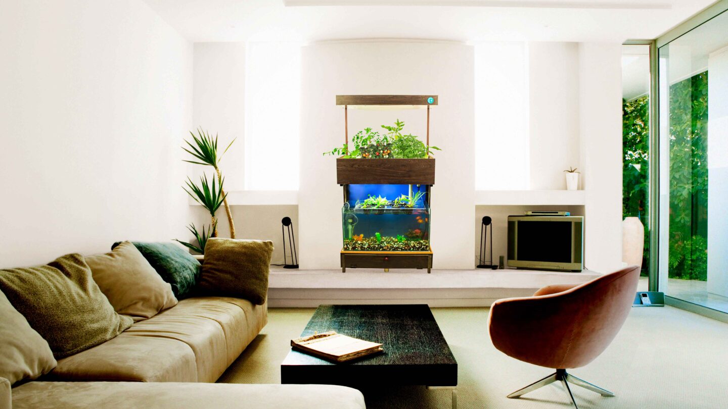 Crofters Unveils India’s First Aquaponics Garden