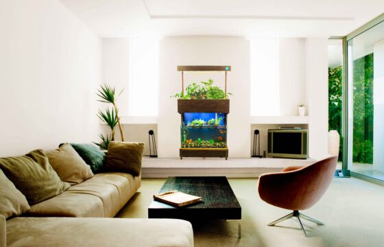 Crofters Unveils India’s First Aquaponics Garden