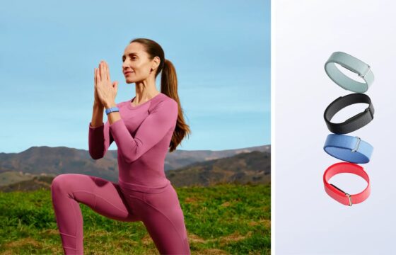Fitbit Air India Price: ₹13,999, Features and Sale Date