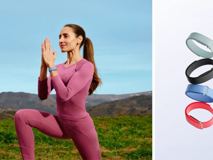 Fitbit Air India Price: ₹13,999, Features and Sale Date